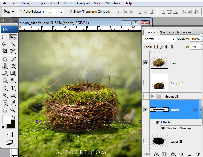 hippo, photoshop, nest, egg, shell, flying hippo, cute, baby, wings, hippopotamus, feathers